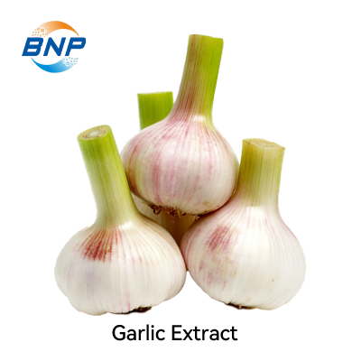 Garlic Extract