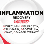 Metazome™ Technology — Next-Generation Liposomal Delivery for Superior Bioavailability