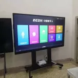 Digihuman Anatomy Teaching Blackboard