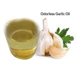 Garlic Extract/Oil