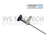 ENDOSCOPE/Sinuscope/Otoscope HD NIR/ICG