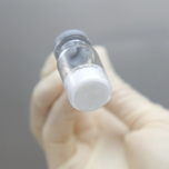 Lyo-Modelling and Lyophilization Process Development