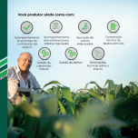 Seguro Agropecuário