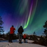 Northern Lights Tours, Bodo, Northern Norway