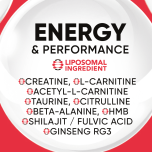 Metazome™ Technology — Next-Generation Liposomal Delivery for Superior Bioavailability