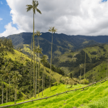 Colombia between coffee and the sea