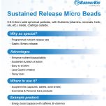 Controlled Release Tablet & Beadlet