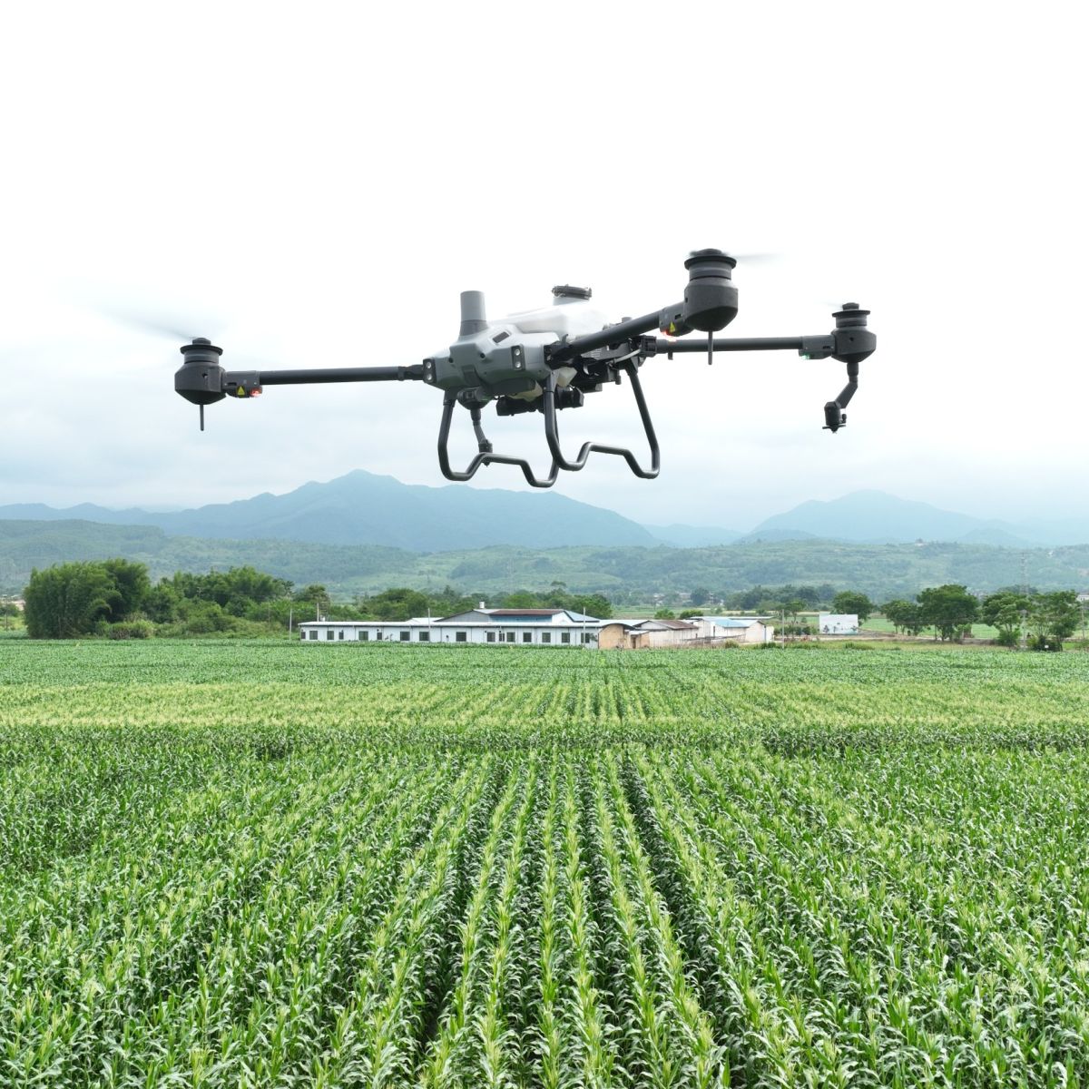 Drone DJI Agras T20P