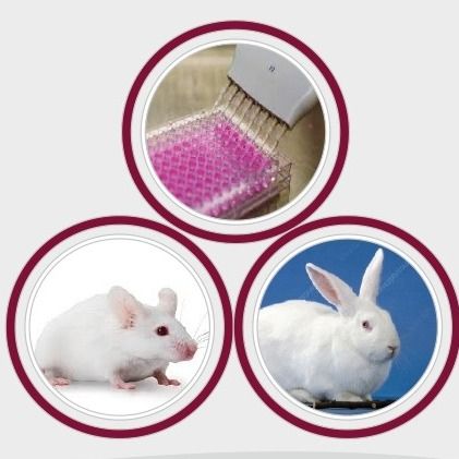 Biocompatibility Testing of Medical Devices (As per ISO 10993-1:2018)