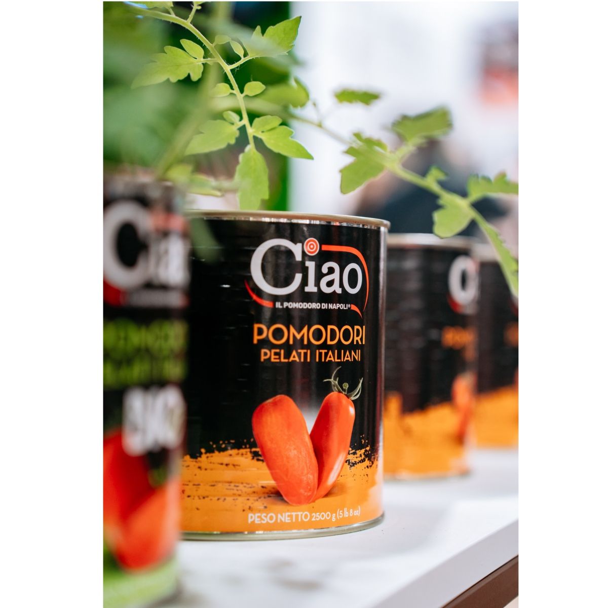 Tomates, molhos prontos e legumes em conserva