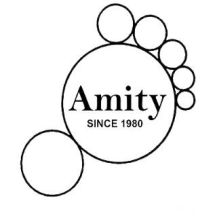 AMITY LEATHER INTERNATIONAL