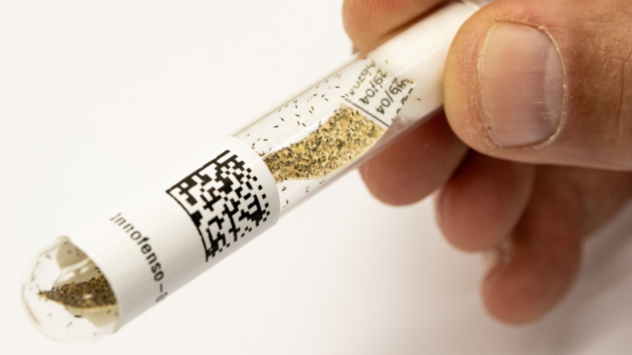 Optimisation et diversification des macro-organismes pour le biocontrôle : de la recherche à l’innovation