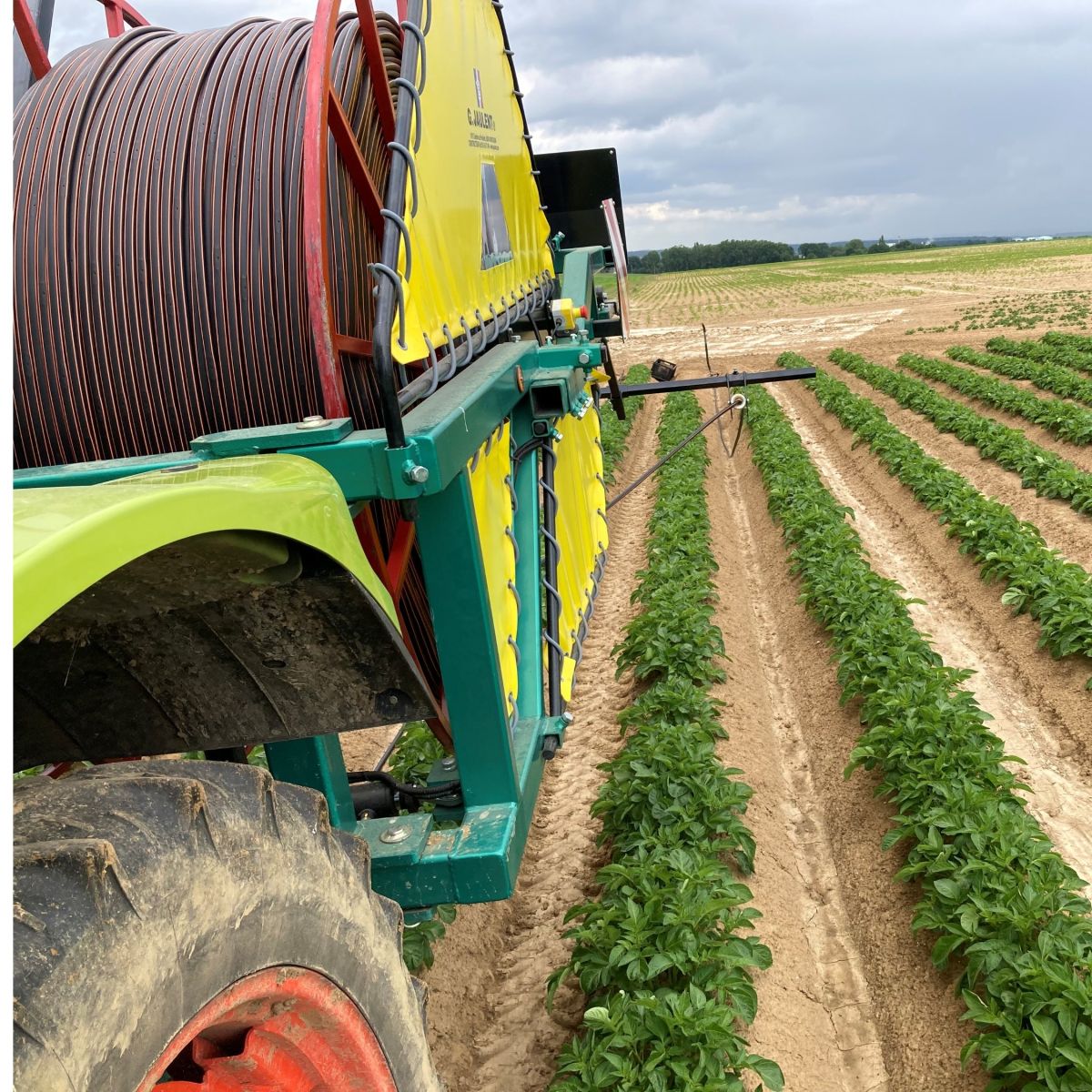 Dépose / récupération gaine goutte à goutte grand culture