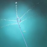 Cardiovascular products