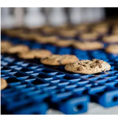 Processador de alimentos - Especialistas em Segurança de Alimentos