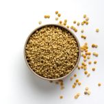 PROTEINEL T - Textured pulse protein