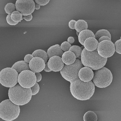 Applied R&D in Encapsulation Technology