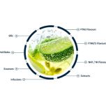 Solutions de goût et d'arôme naturels