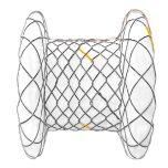 Non-Cardiac Self Expandable Metallic Stent