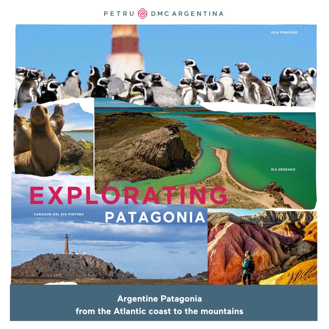 Argentine Patagonia from the Atlantic coast to the mountains