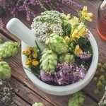 Botanical Extracts - Natural extracts of herbs, plants, fruits and spices