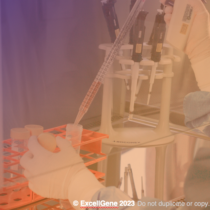 Bioprocess Development