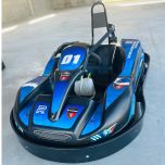Junior and Adult Indoor rental Go Kart
