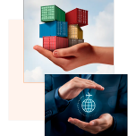 Seguro Internacional