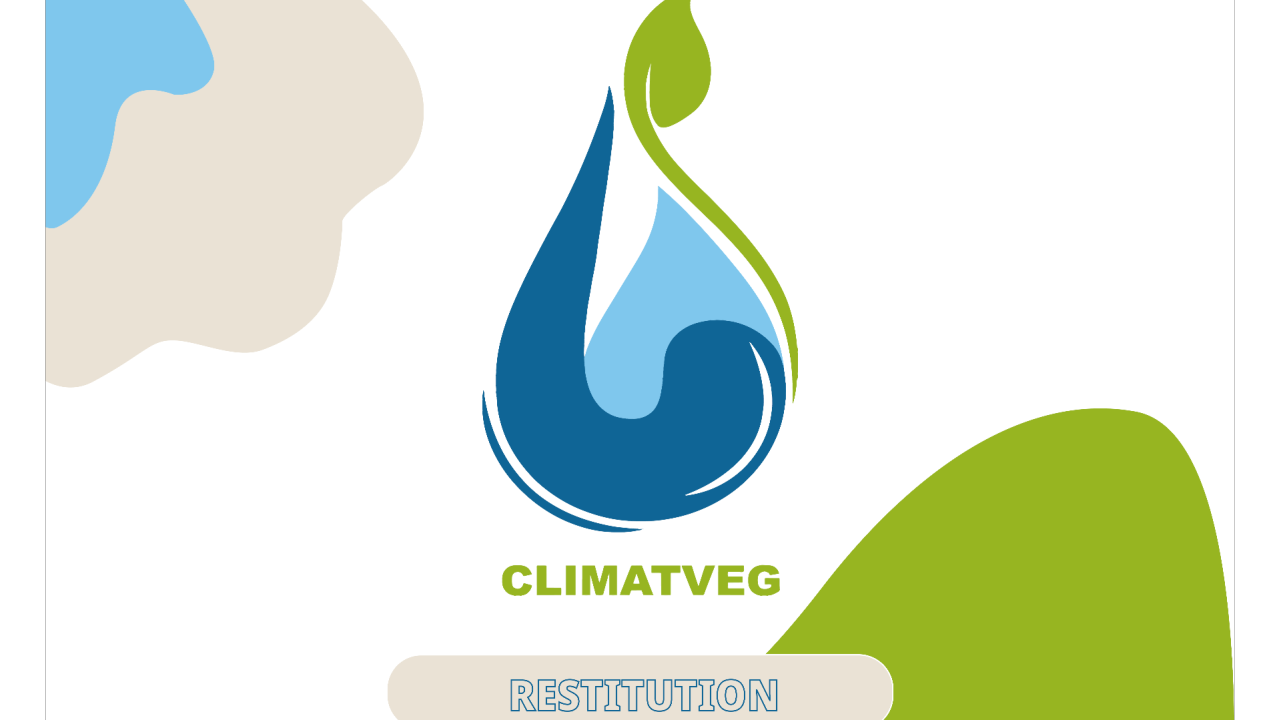 Optimiser l’irrigation en cultures horticoles hors sol via le refroidissement des surfaces de production