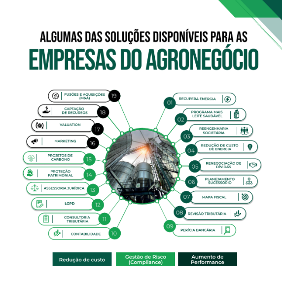 Proteção Patrimonial e Holdings