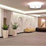 Découvrez WISE, la révolution éco-responsable dans le monde des matériaux de revêtement !