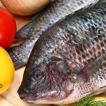 Tilapia (Fillets & GS)