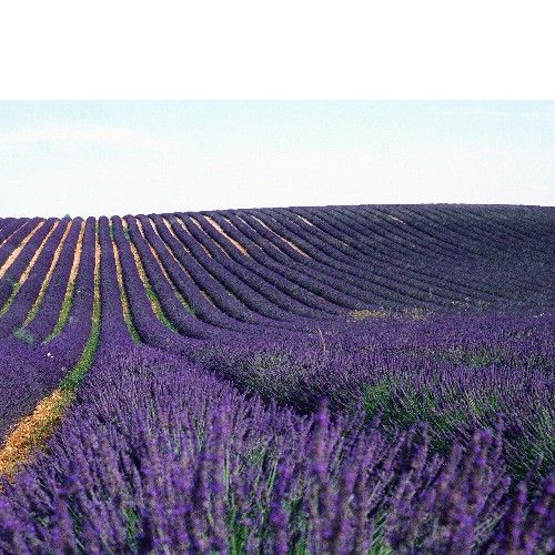 Production and storage hydrogen projects connected to the H₂ pipe network  for the decarbonization of the Southern Region