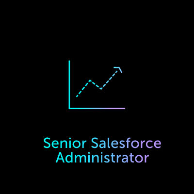 Senior Salesforce Administrator