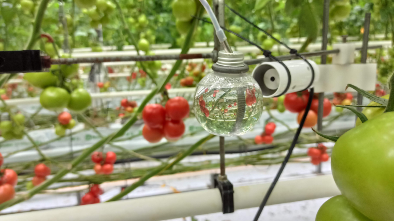 Rationalisation de la dépense énergétique sous serre : Quelles solutions techniques et d'avenir