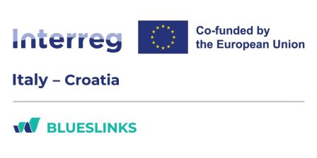 BLUESLINKS - DELTA 2000 SOC. CONS. ARL.