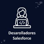 Salesforce Developer