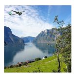Flight from Florence to Bergen and domestic flights to 41 destinations in Norway
