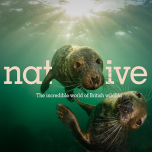 thejuice is bringing fresh energy to two new attractions in 2025: