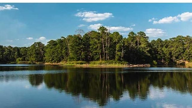 Central Texas Showcase (8)