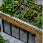 LivingRoof Modular Green Roof Kit