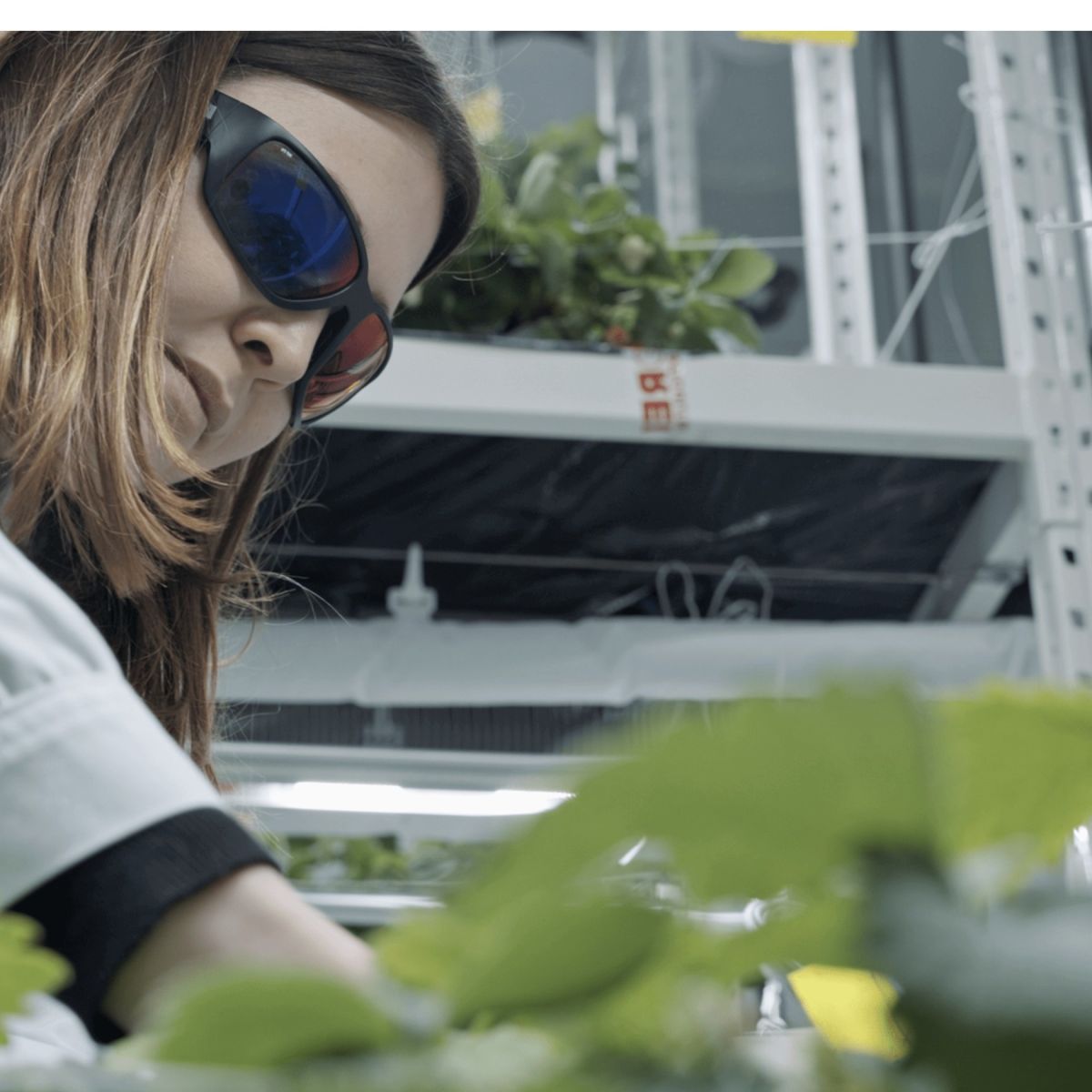 Accompagnement photobiologique