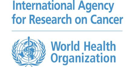 International Agency for Research on Cancer (IARC)