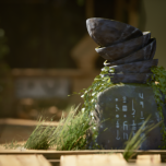 About Cannons & Sparrows