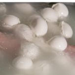 Mate in Travel - Experience designer