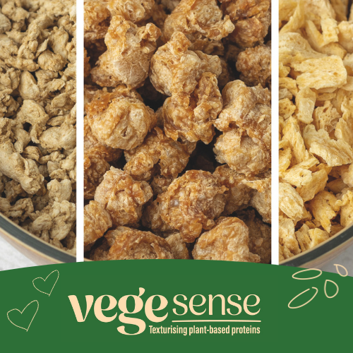 Vegesense texturising plant-based proteins