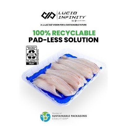 Lucid Infinity™ Seafood (8P) - Clear with blue tint insert