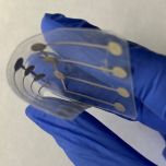 Printed Force Sensor