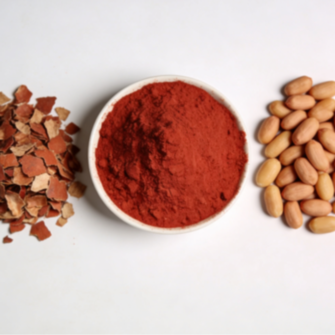 Peanut Coat Extract