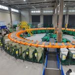 Flipper sorter and Carousel sorter